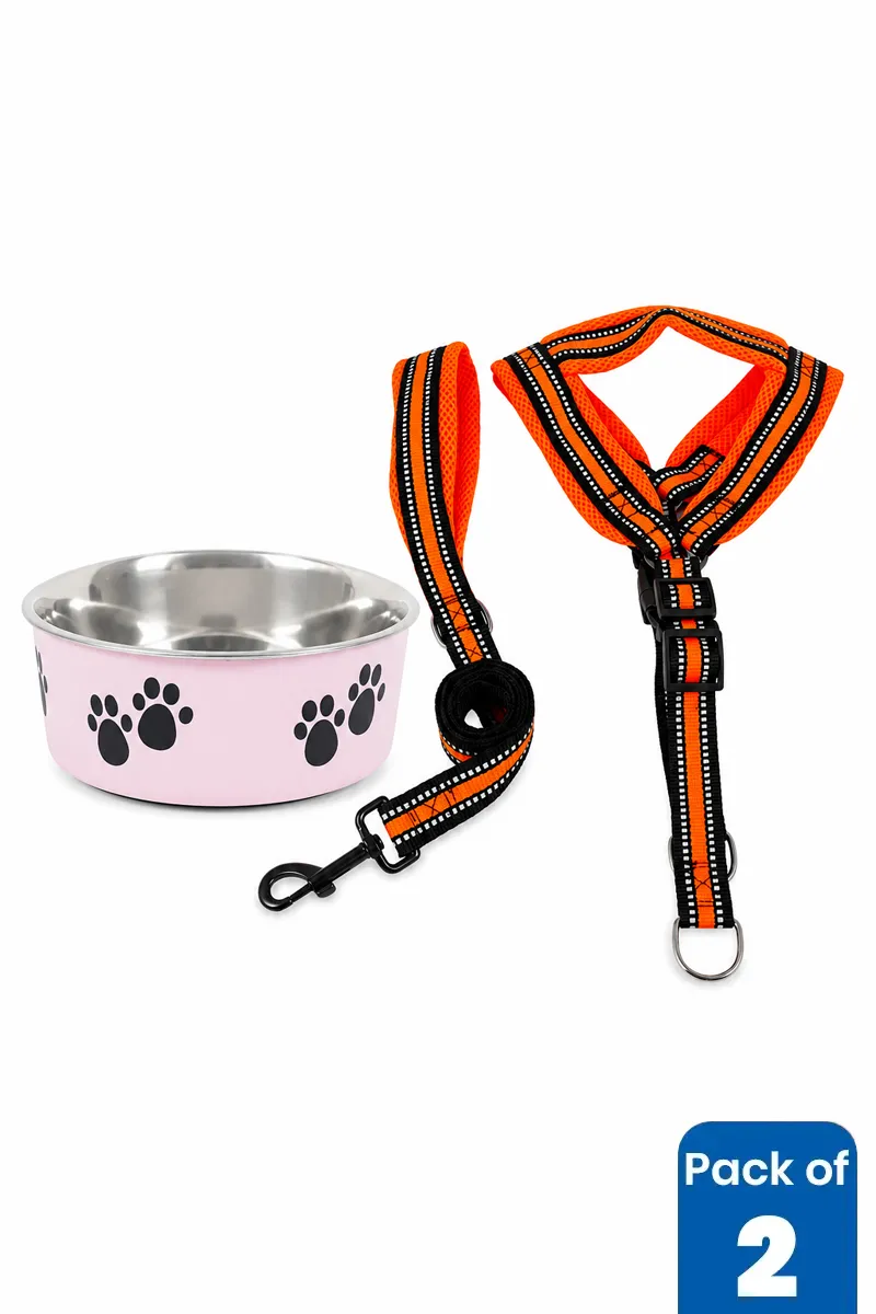 Stainless Steel Dog Feeding Bowl & Rope Leash Combo - Pack of 2