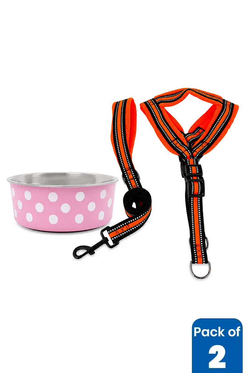 Stainless Steel Dog Feeding Bowl & Rope Leash Combo - Pack of 2