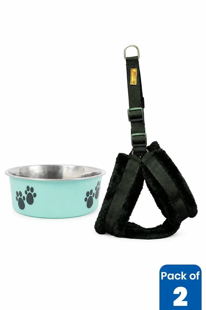 Stainless Steel Dog Feeding Bowl & Rope Leash Combo - Pack of 2