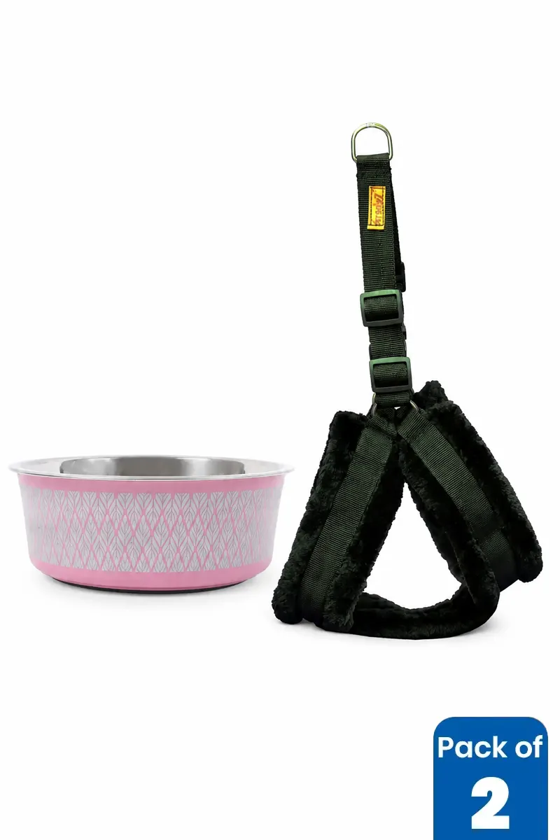 Stainless Steel Dog Feeding Bowl & Rope Leash Combo - Pack of 2