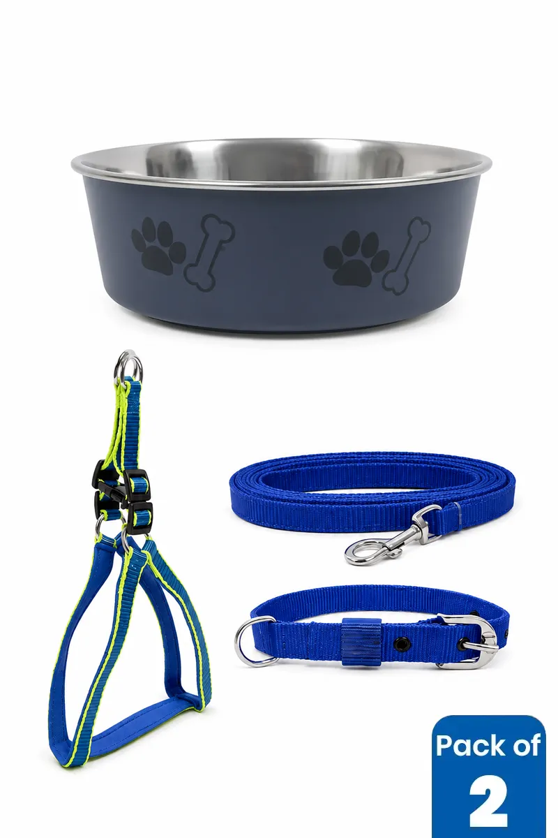 Stainless Steel Dog Feeding Bowl & Rope Leash Combo - Pack of 2