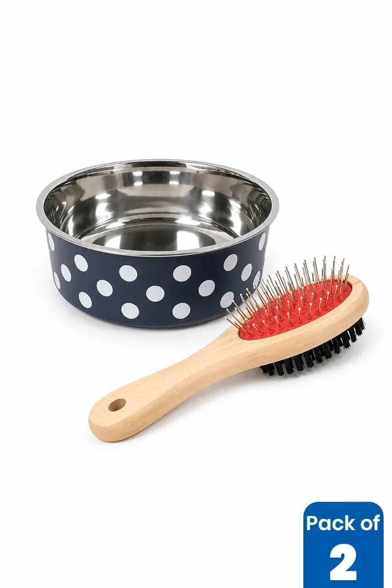Pet Feeding & Grooming Essentials Combo Set – Pack of 2