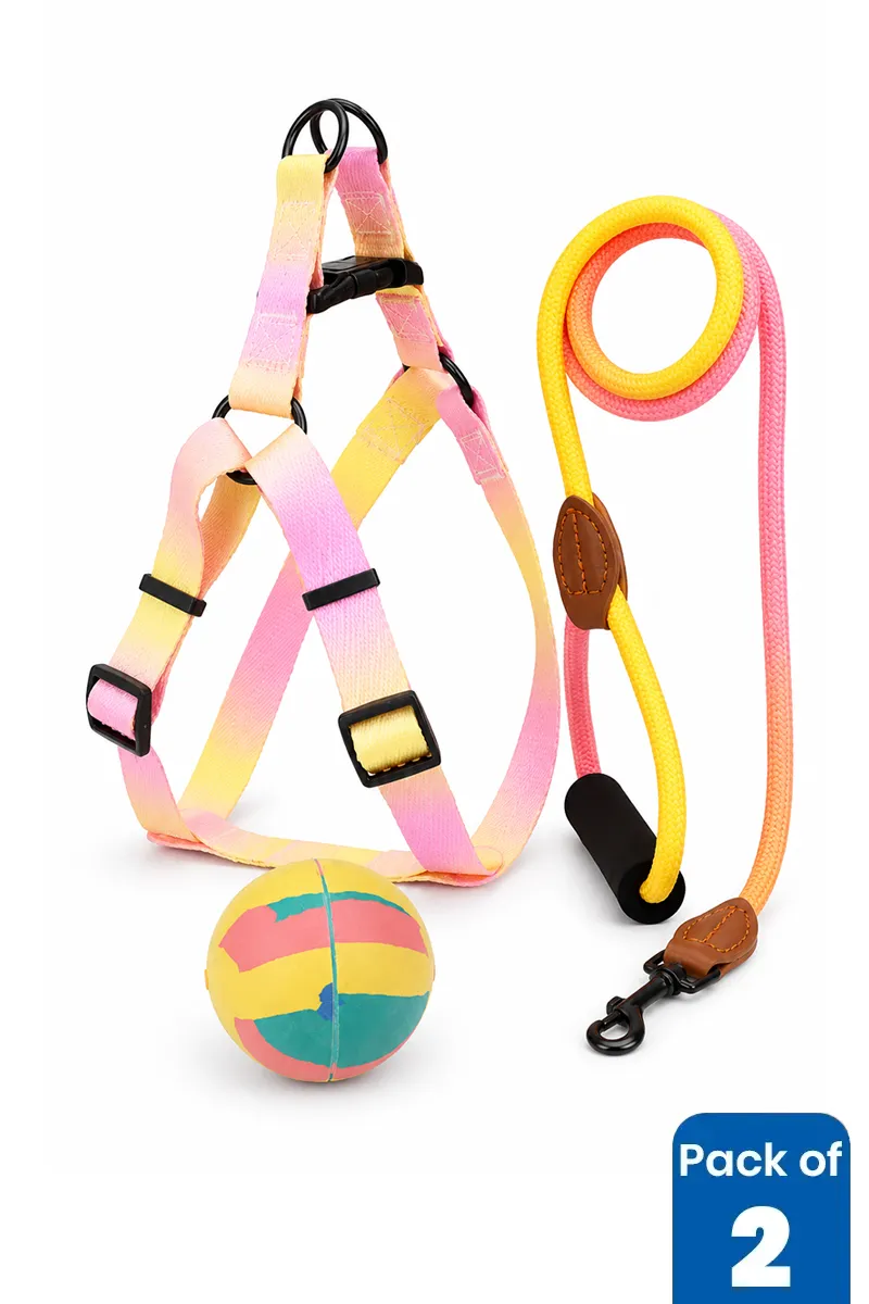 Complete Dog Walking & Play Combo Set – Pack of 2