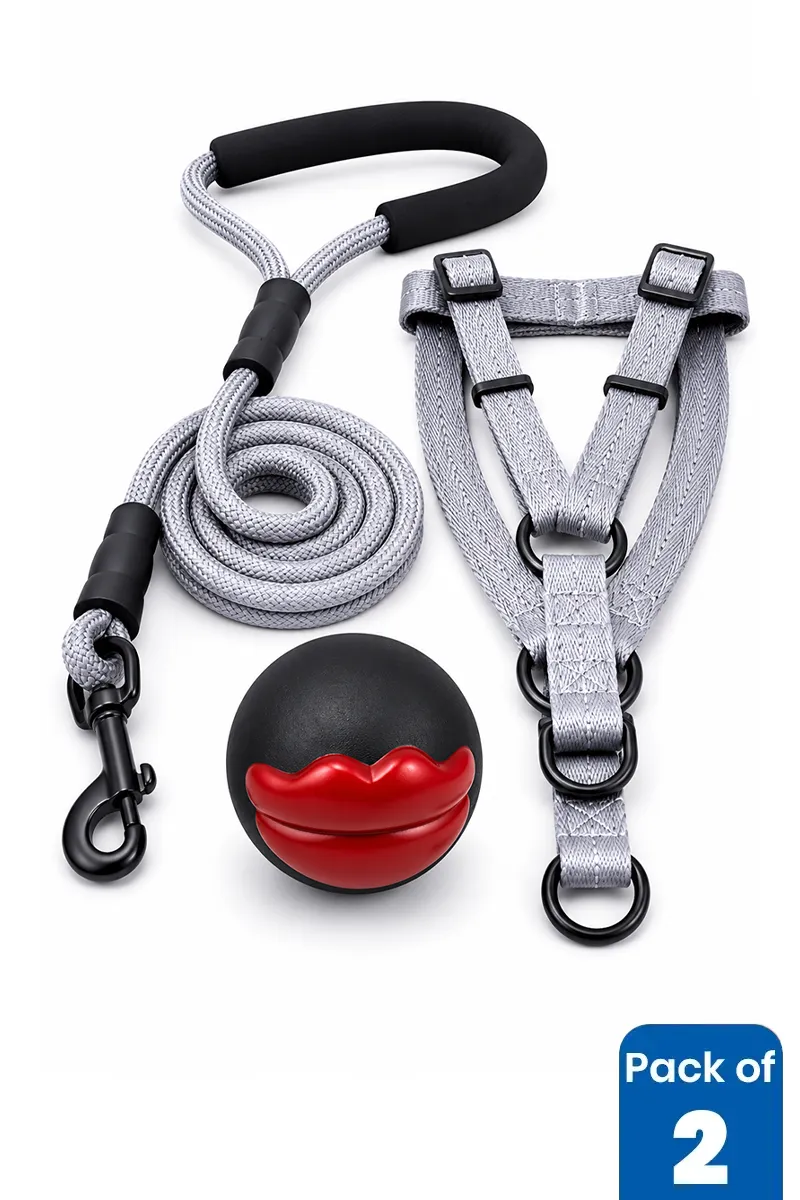 Complete Dog Walking & Play Combo Set - Pack of 2