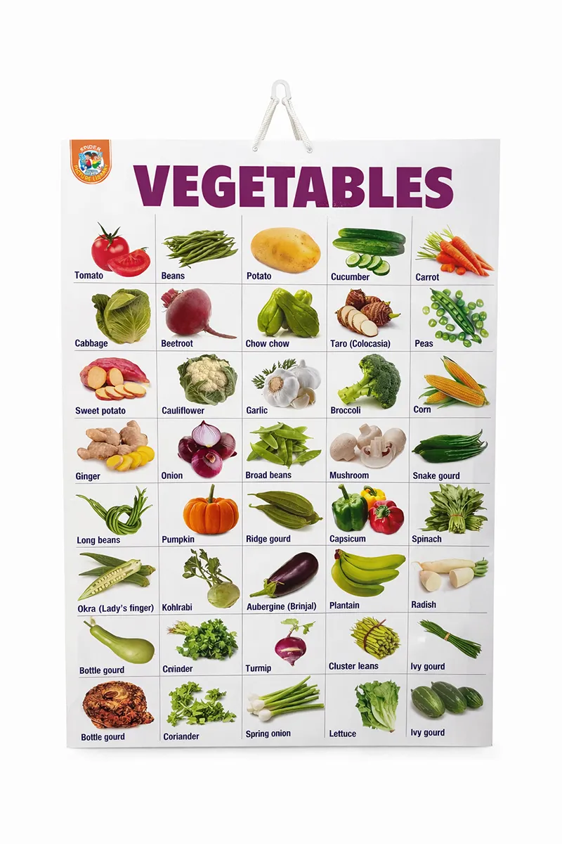 Vegetables Educational Chart for Kids - 1pc
