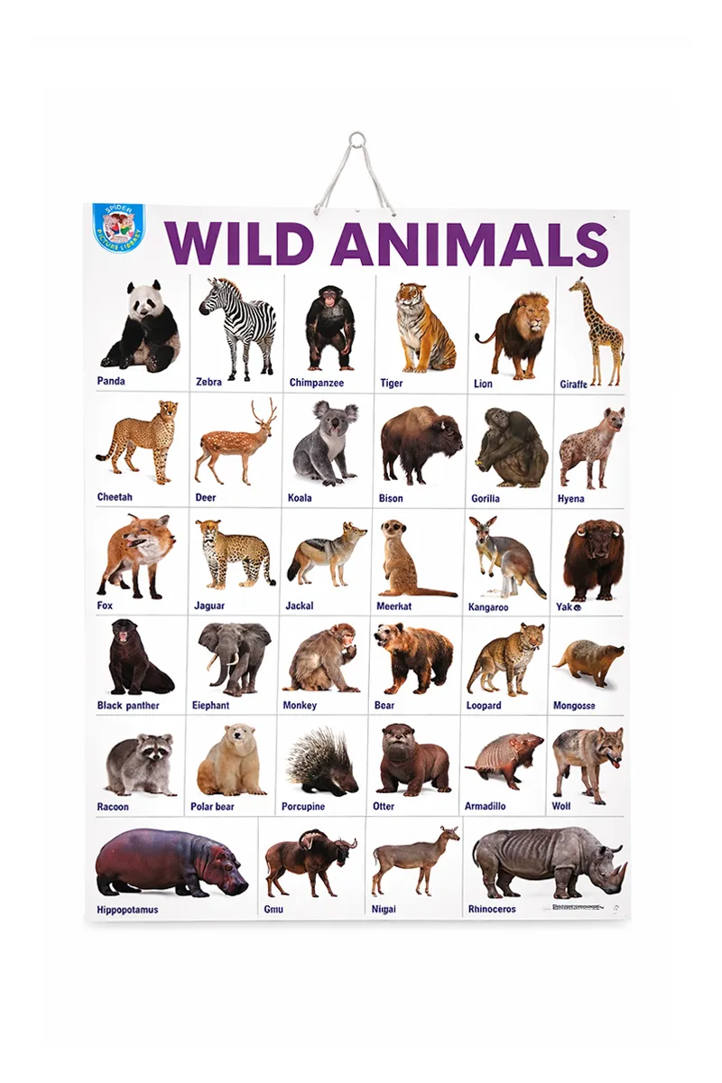 Wild Animals Educational Chart for Kids - 1pc