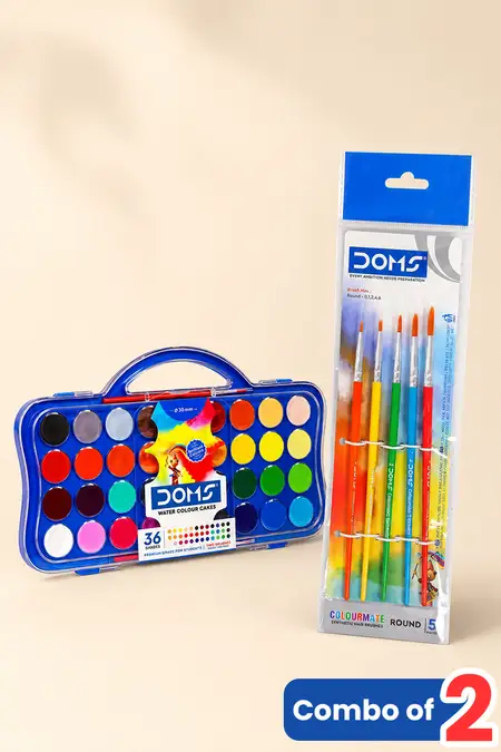 Stationery Starter Combo, Doms Color Paint and Brush - Combo of 2