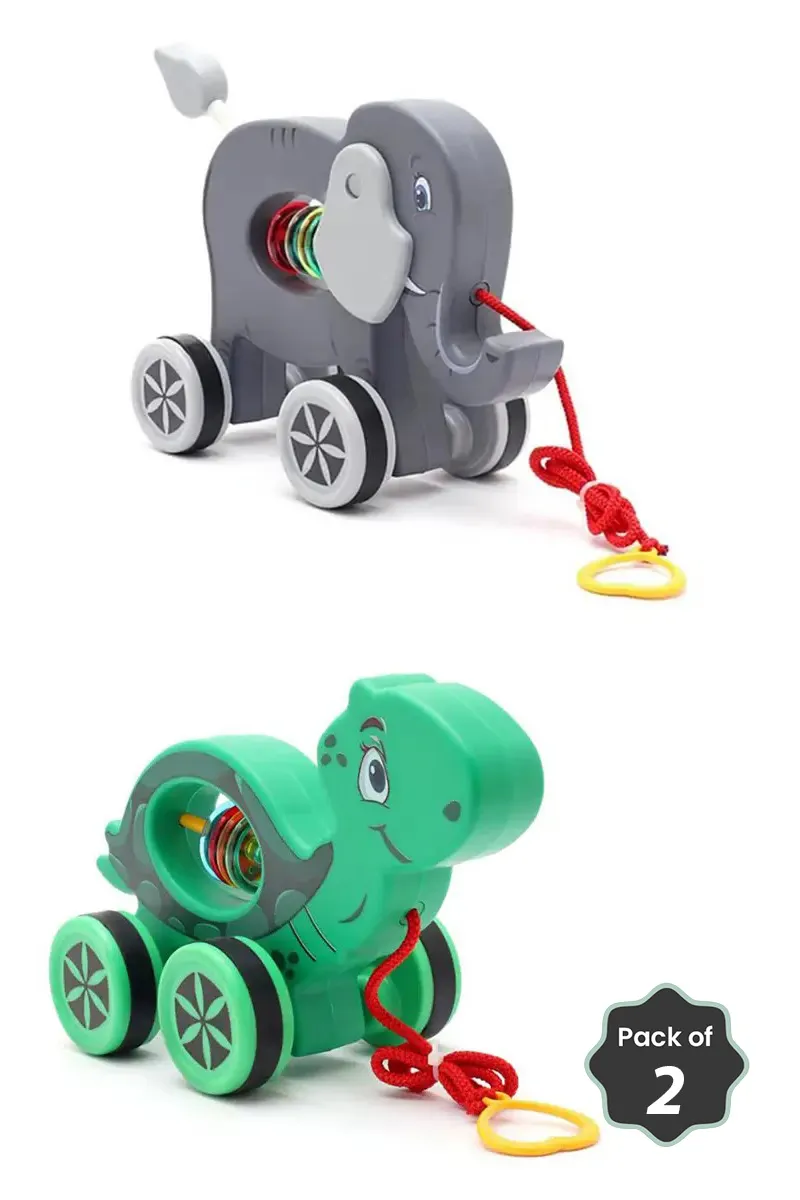 Pretty Turtle & Elephant Pull-Along Buddy Toy Combo